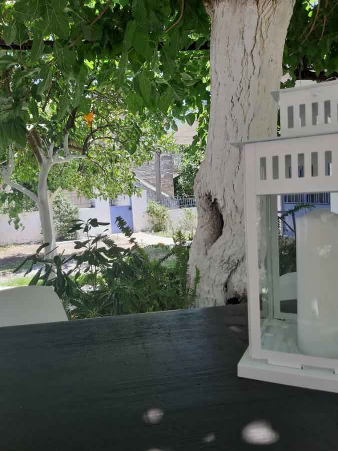 Villa Avli كارداميلي المظهر الخارجي الصورة