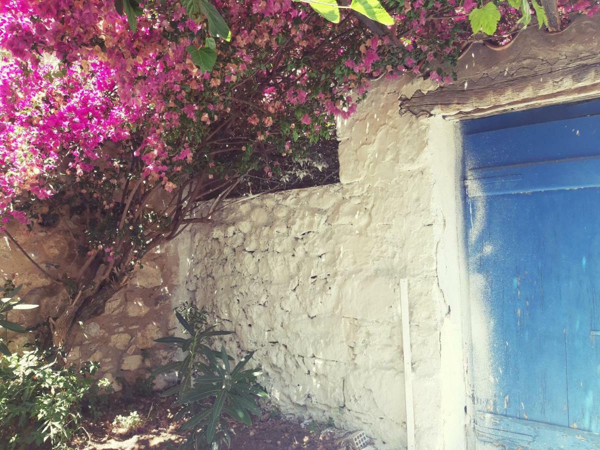 Villa Avli كارداميلي المظهر الخارجي الصورة